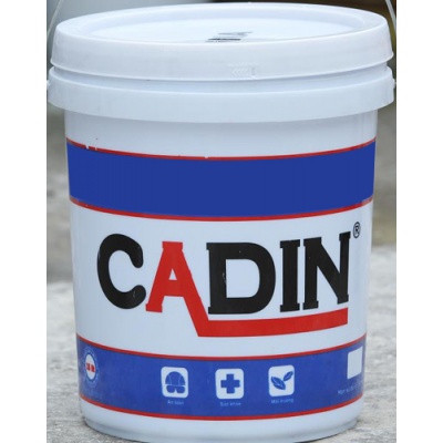 Sơn lót epoxy cadin Màu đỏ, xám dùng cho thép